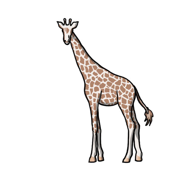 Готовый жираф
