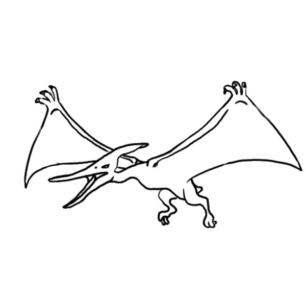 pteranodon08