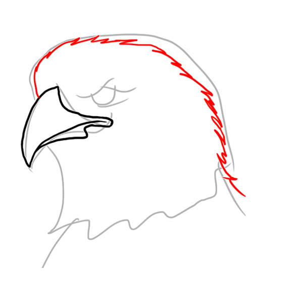 eagle03