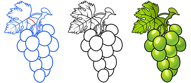 Пример рисования виноградной грозди