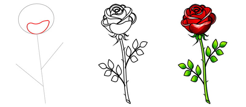 Как нарисовать розу поэтапно красиво карандашом
