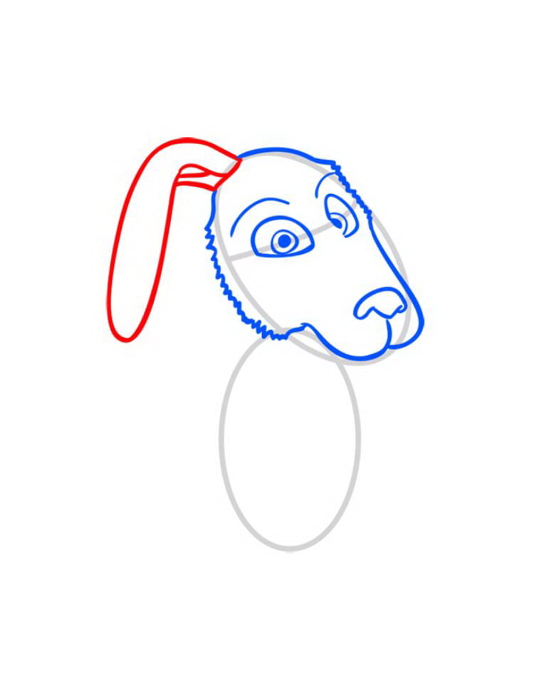 Как нарисовать Зайца из Маши и Медведя — 05