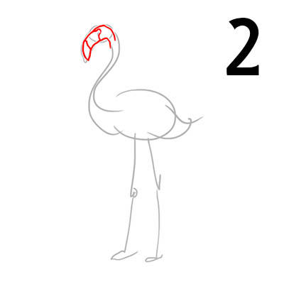 Голова фламинго и клюв
