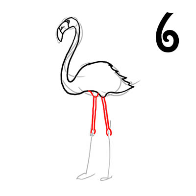 Ноги нашего красавца фламинго