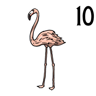 Раскрашиваем почти готовый рисунок фламинго