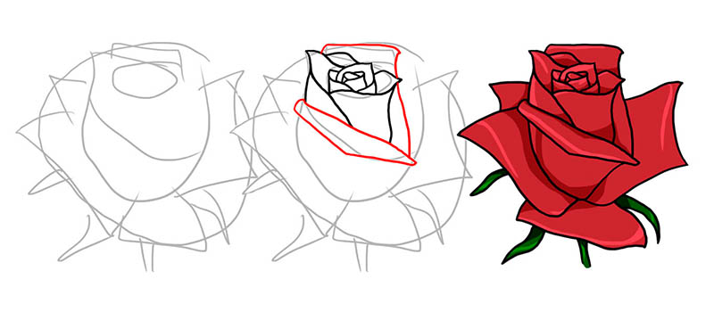 Цветы: как нарисовать бутон розы