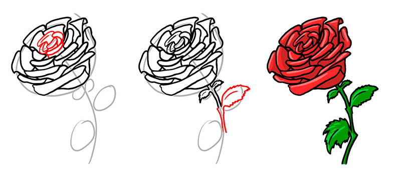 Рисуем красивую розу простым карандашом пошагово:
