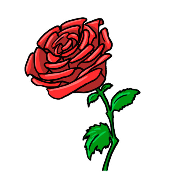 Готовая нарисованная роза