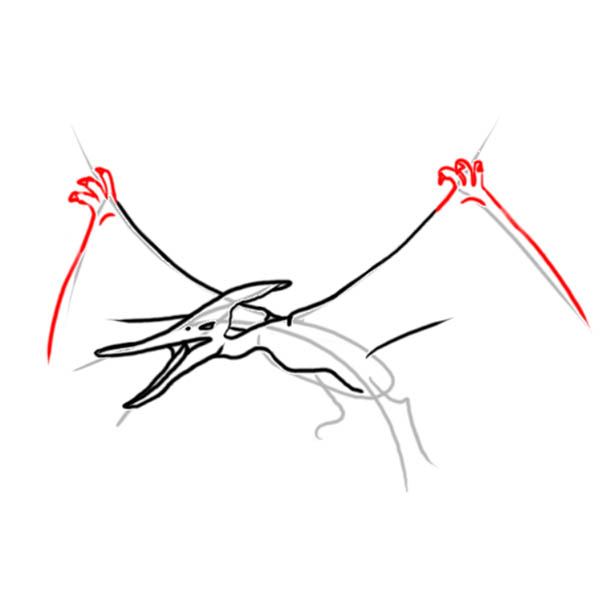pteranodon05