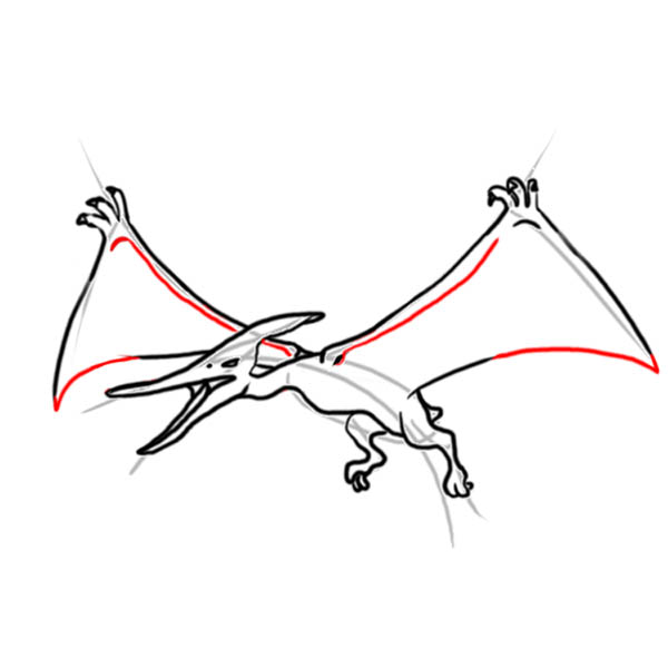 pteranodon07
