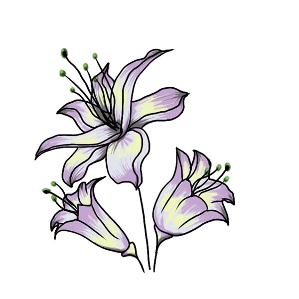 Нарисованная лилия