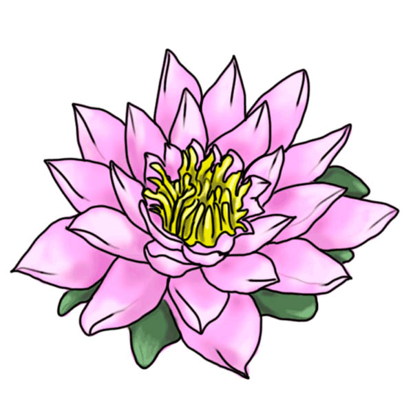 Цветы: рисуем цветок лотоса
