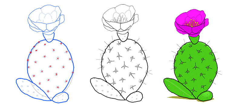 Как нарисовать кактус с цветком
